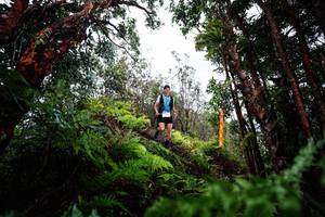 BIB: 
                            <button type="button" onclick="openModal(26204690)" class="btn btn-primary btn-sm float-right btn-popup" data-toggle="modal" data-target=".modal-high-quality">
                        <i class="fas fa-shopping-cart"></i> Add to Cart
                    </button>
                                            <button type="button" onclick="isThisMe(26204690, true)" class="btn btn-success btn-sm float-right btn-popup btn-isme hidden" data-toggle="tooltip" data-placement="bottom" title="นี่คือรูปของคุณใช่ไหม คลิกที่นี่เพื่อเอาเข้าอัลบั้ม">
                        <i class="fas fa-plus"></i> Add to album
                    </button>
                    <button type="button" onclick="isThisMe(26204690, false)" class="btn btn-warning btn-sm float-right btn-popup btn-isnotme hidden">
                        <i class="fas fa-ban"></i> Remove from album
                    </button>